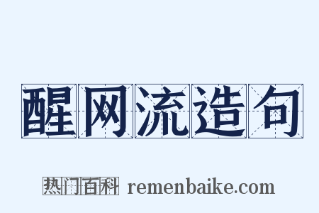 醒网流造句是什么意思的图片